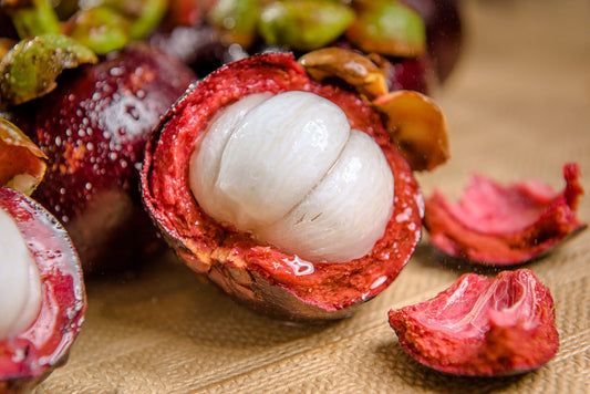 Mangosteen Grafted